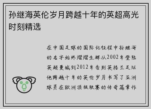 孙继海英伦岁月跨越十年的英超高光时刻精选