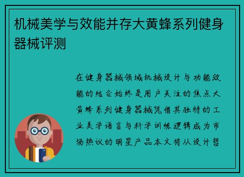 机械美学与效能并存大黄蜂系列健身器械评测