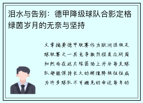 泪水与告别：德甲降级球队合影定格绿茵岁月的无奈与坚持